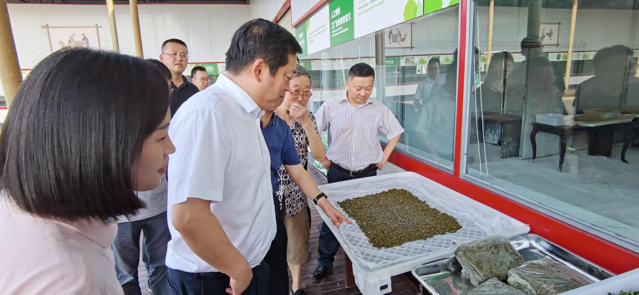 省AG真人娱乐集团党委副书记、董事陈日赴嘉陵区调研茶桑工业生长情形