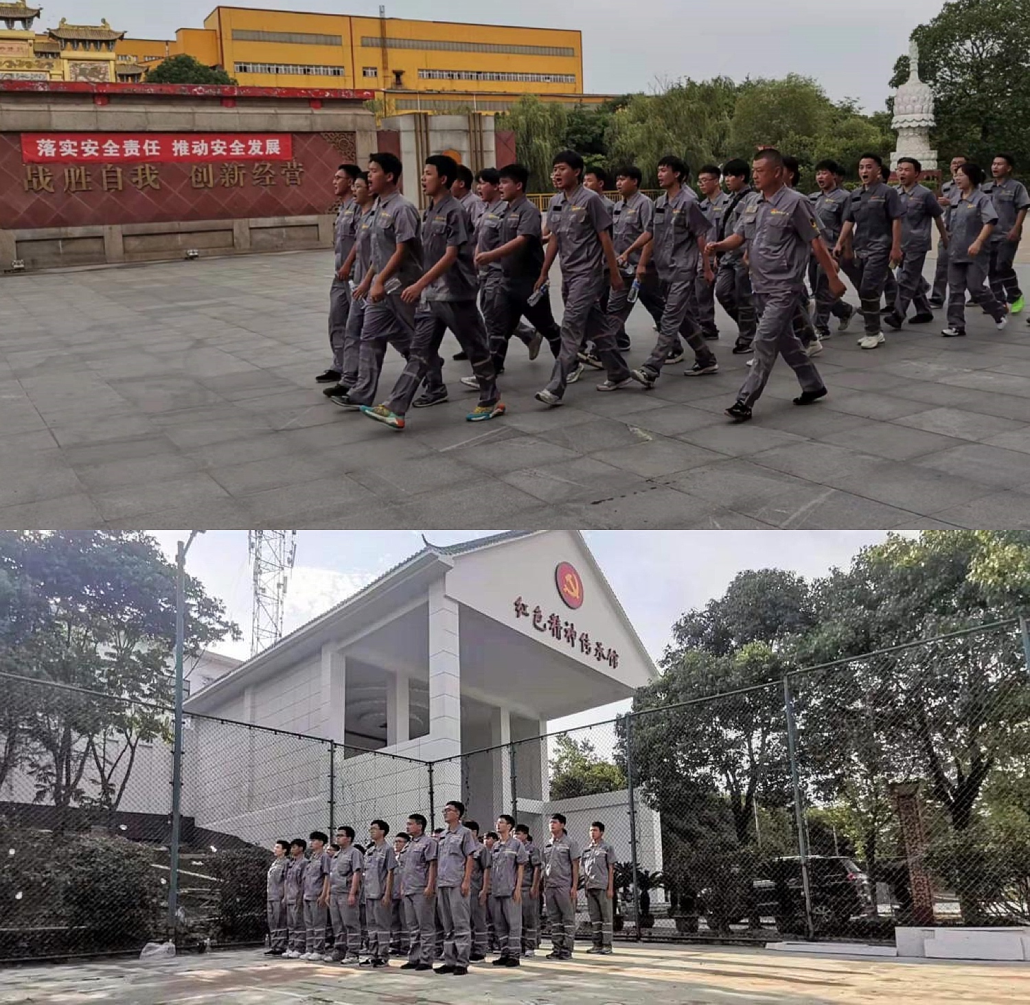 佰利乐(中国区)有限公司官网