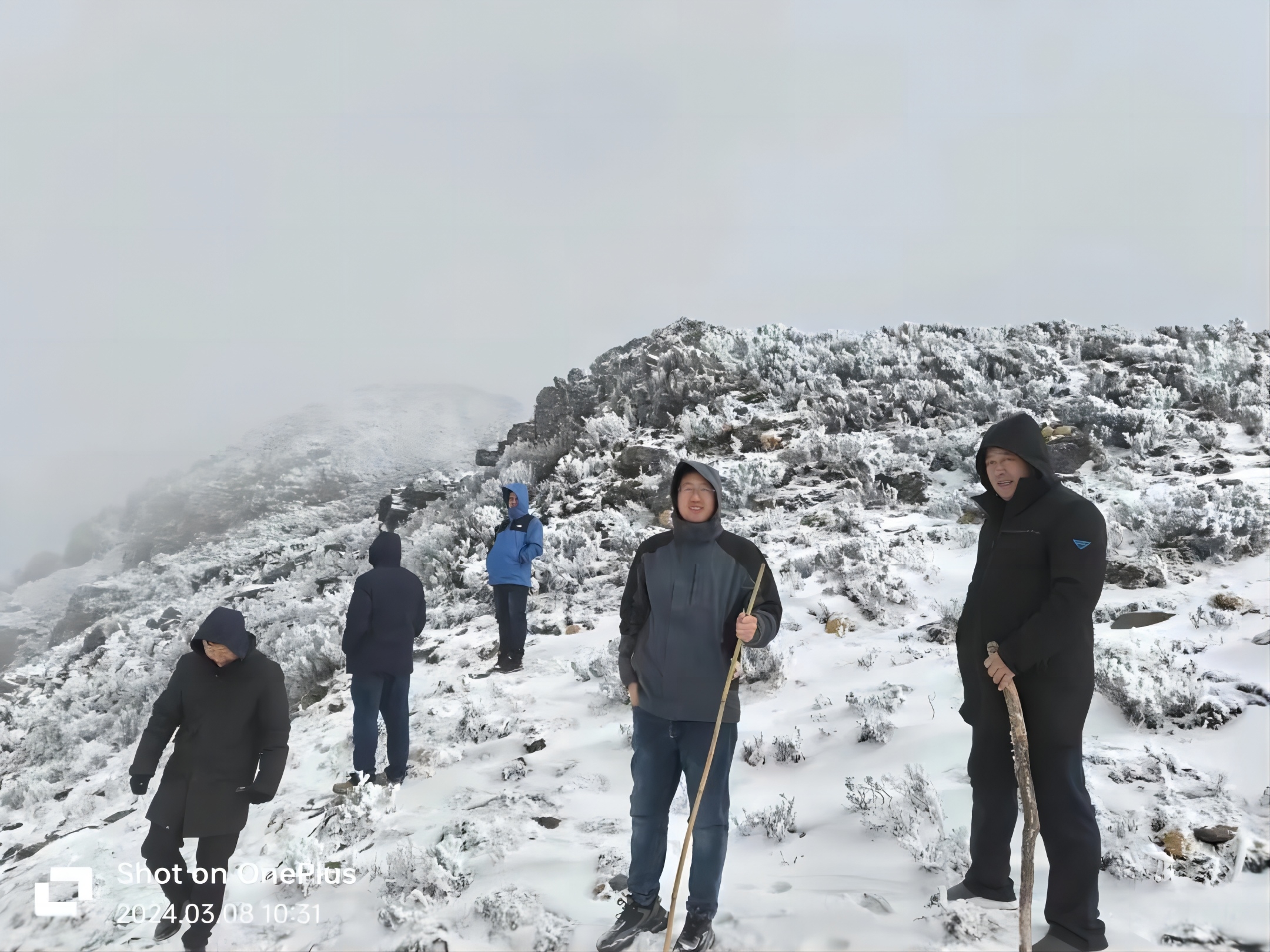 傲雪凌霜，只为佑字”
