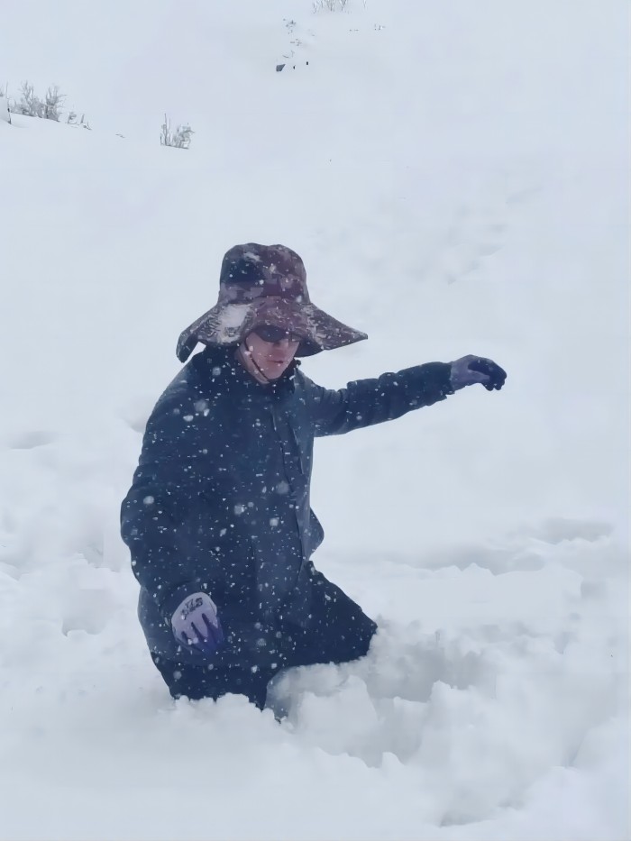 佰利乐(中国区)有限公司官网